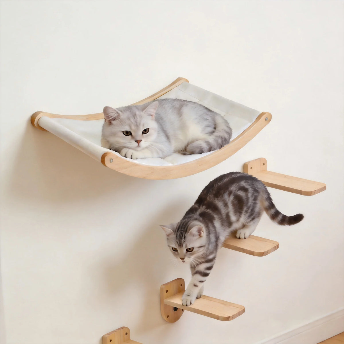 CatClimb