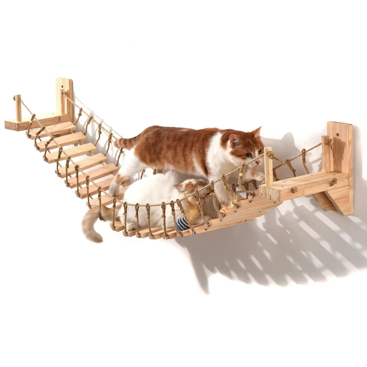 CatClimb