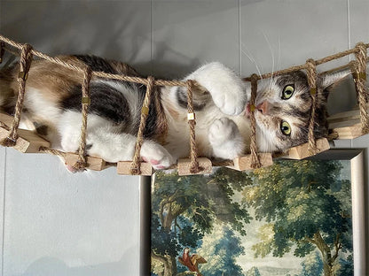 CatClimb