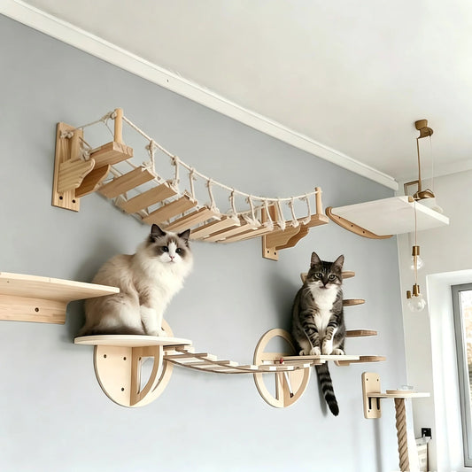 CatClimb