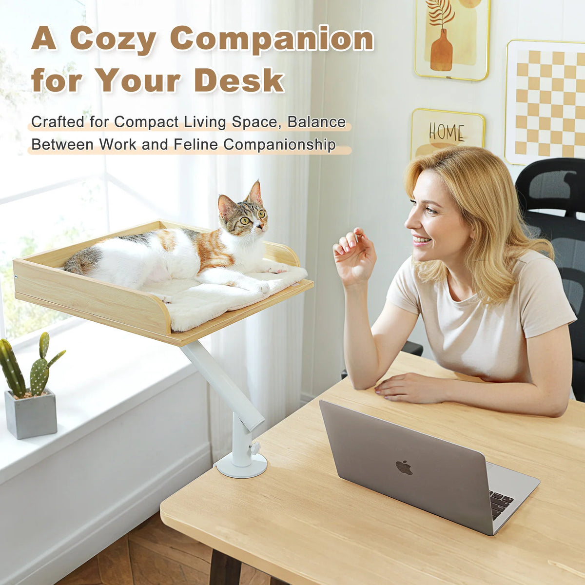 DeskPurr – 360°