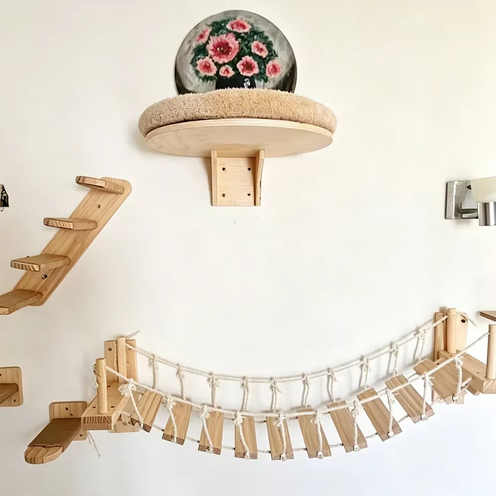CatClimb