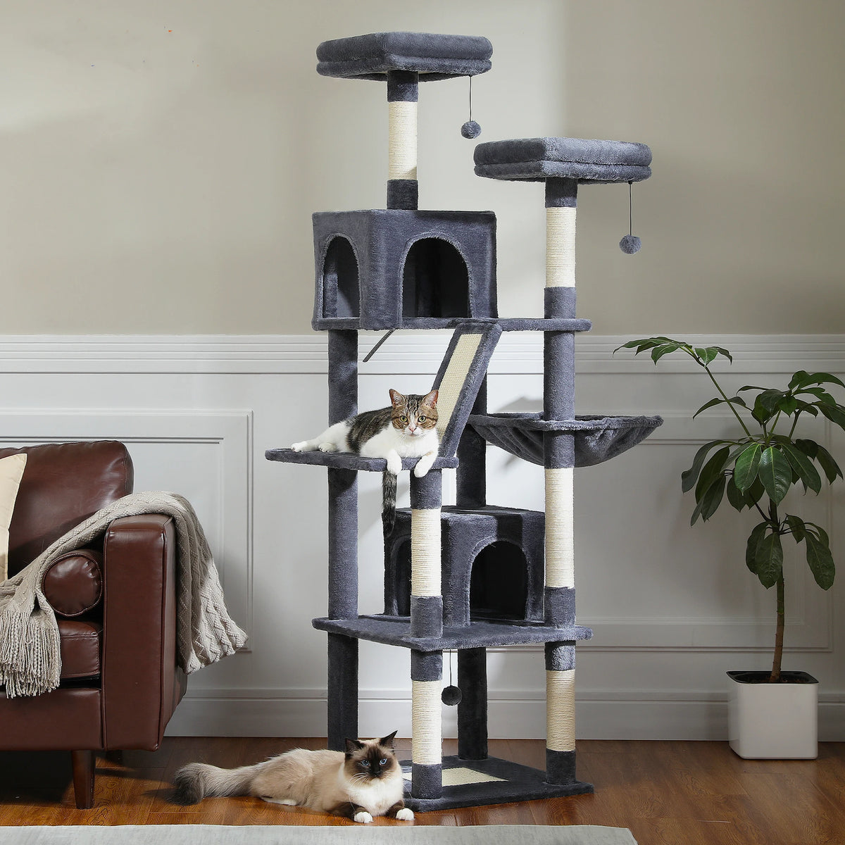 PurrTower