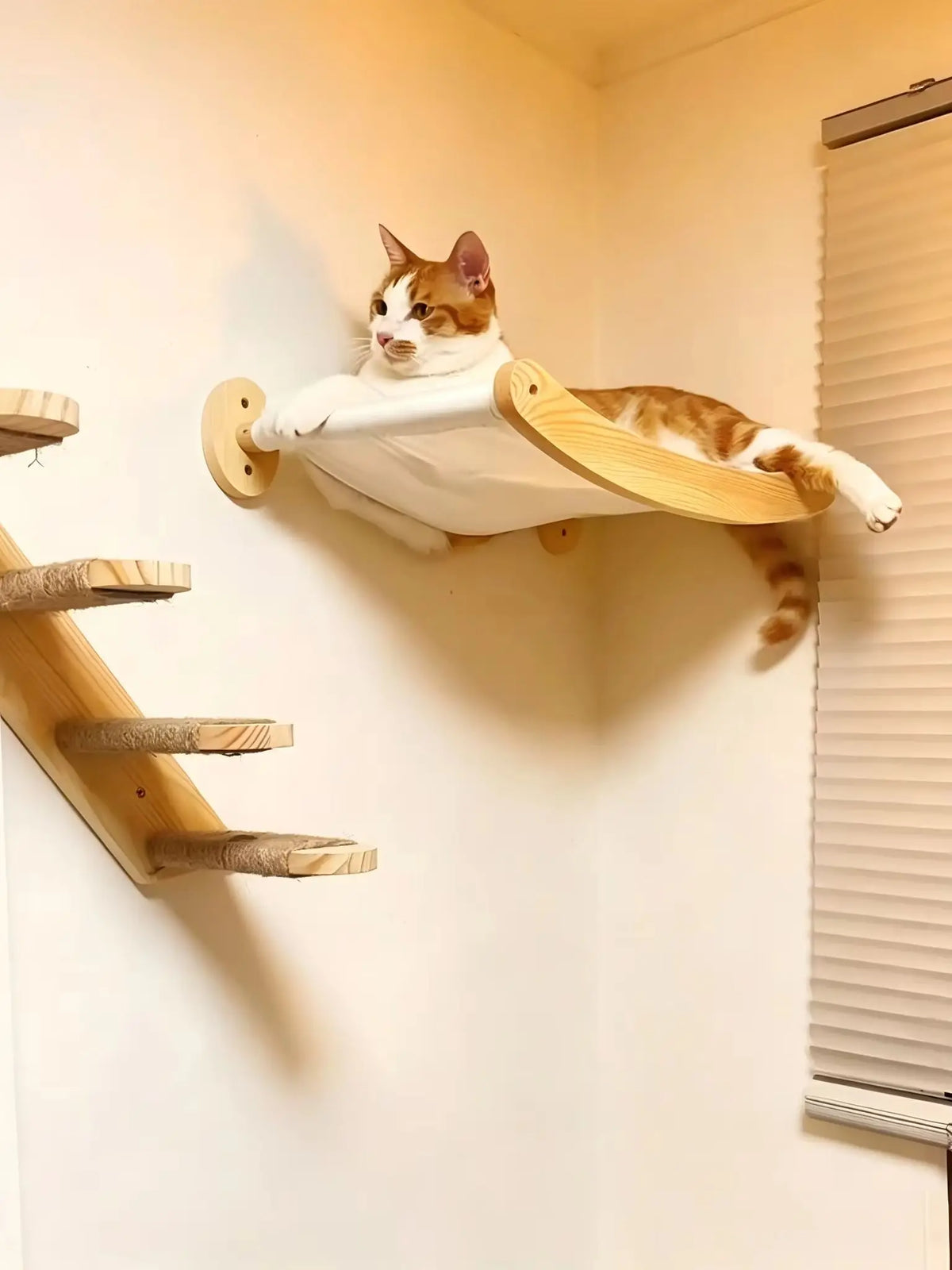 CatClimb