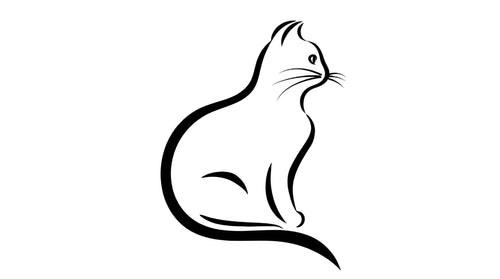 Gatta